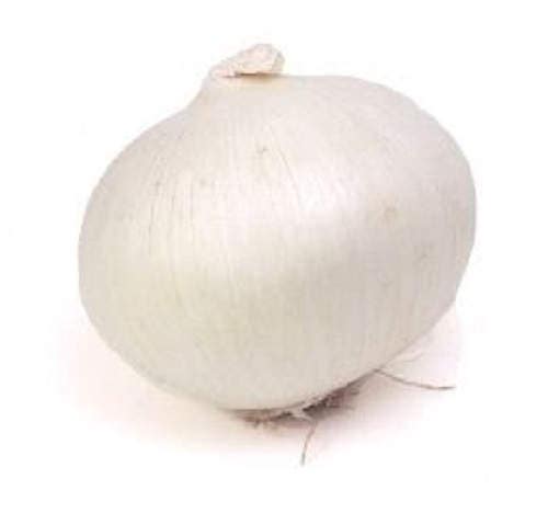 250 ECLIPSE ONION White Sweet Allium Cepa Vegetable Seeds