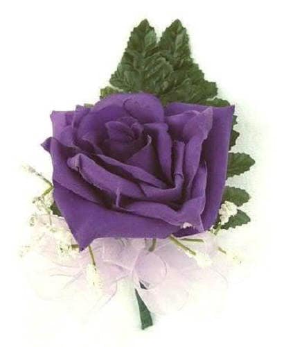 5 PURPLE ROSE Rosa Floribunda Bush Shrub Perennial Flower Seeds