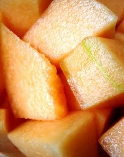 200 IROQUOIS CANTALOUPE Melon Fruit Cucumis Melo Seeds