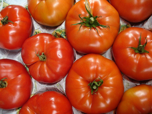 500 BEEFSTEAK TOMATO Lycopersicon Lycopersicum Fruit Vegetable Seeds