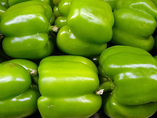 200 BIG GREEN Bell PEPPER Sweet Capsicum Annuum Vegetable Seeds
