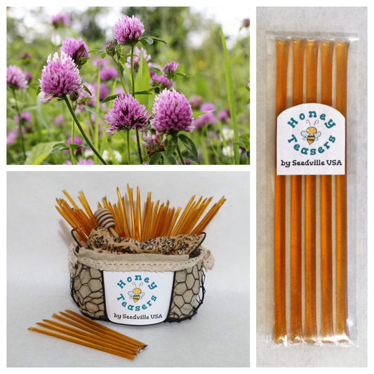 5 Pack CLOVER Blossom HONEY TEASERS Natural Honey Snack Sticks Honeystix Straws