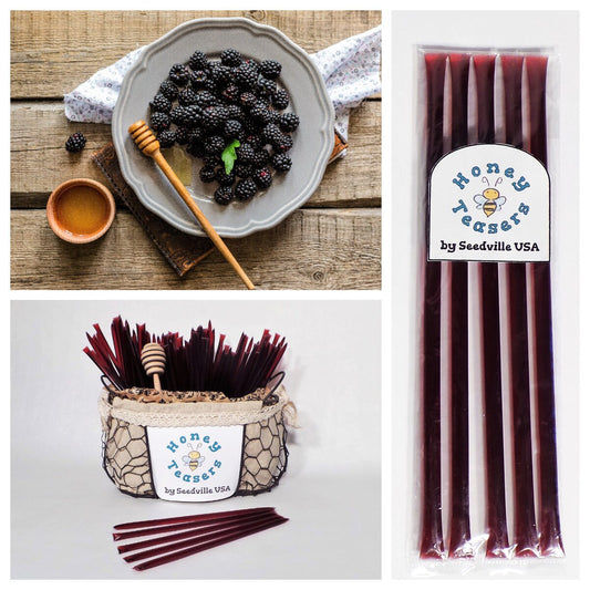 5 Pack BLACKBERRY HONEY TEASERS Natural Honey Snack Sticks Honeystix Straws