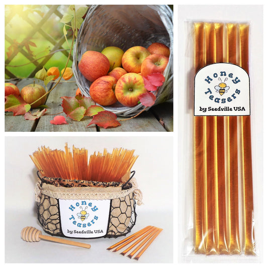 5 Pack APPLE HONEY TEASERS Natural Honey Snack Sticks Honeystix Straws