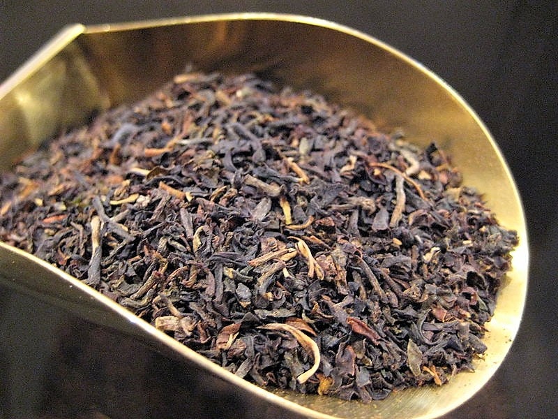 5 TEA PLANT Black & Green Drinking Tea Camellia Sinensis Evergreen Tree Shrub Flower Seeds