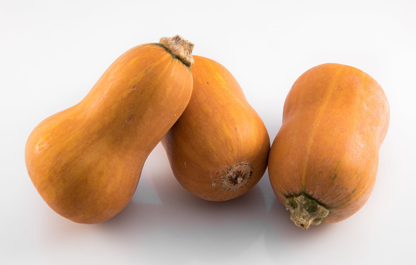 25 Organic HONEYNUT SQUASH aka Honey Butternut Squash Sweet Cucurbita Moschata Baby Buttercup Tan Skin Orange Flesh Seeds
